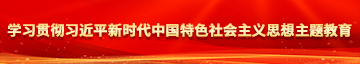 成人免费逼逼学习贯彻习近平新时代中国特色社会主义思想主题教育